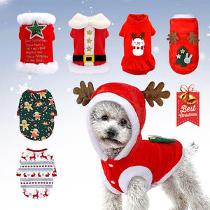 Collection of Holiday Sweaters for Dogs