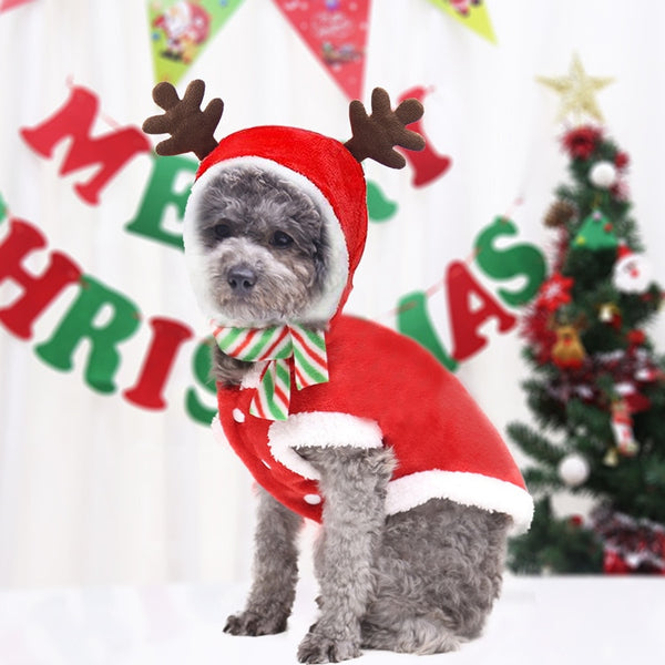 Christmas Hoodies for Dogs