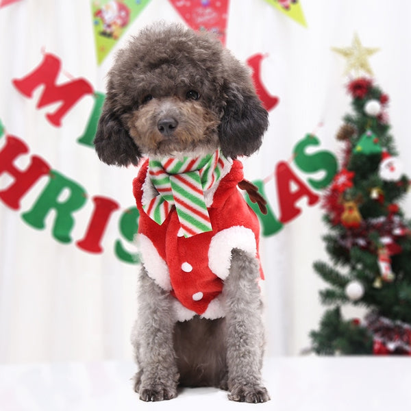 Christmas Hoodies for Dogs